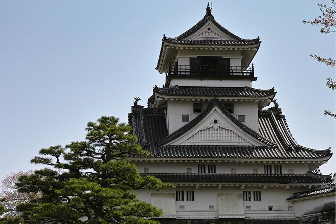 1-Day Kochi Highlights Tour with local guide - Chikurinji Temple: a shorter stop with a cultural payoff