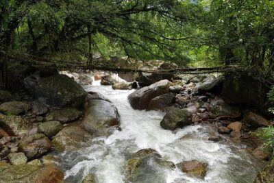 10D/9N Assam-Meghalaya-Arunachal pradesh