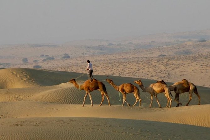 2 Days-1 Night Camel Tour - Key highlights before you go