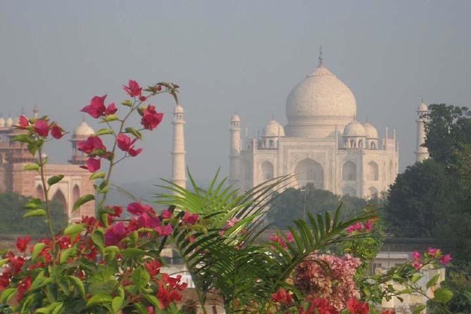 2 Days Overnight Taj Mahal & Agra Tour From Delhi - Guides, photo help, and why the “human layer” matters at the Taj