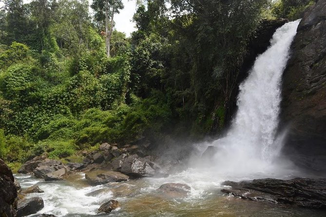 3-Day Wayanad Tour from Bangalore - Who this tour fits best