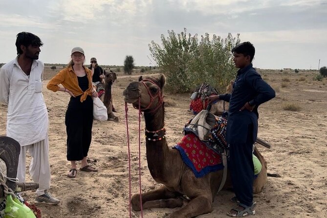 3 Days Tour in Wild Desert Safari - Price and value: what $99 really buys in the Thar