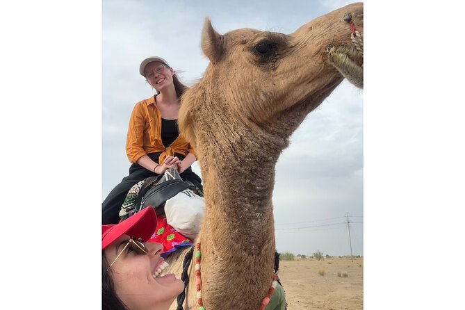 3 Days Tour in Wild Desert Safari - Camp and stay vibe: calm, clean, and friendly service at Wonbin Safari