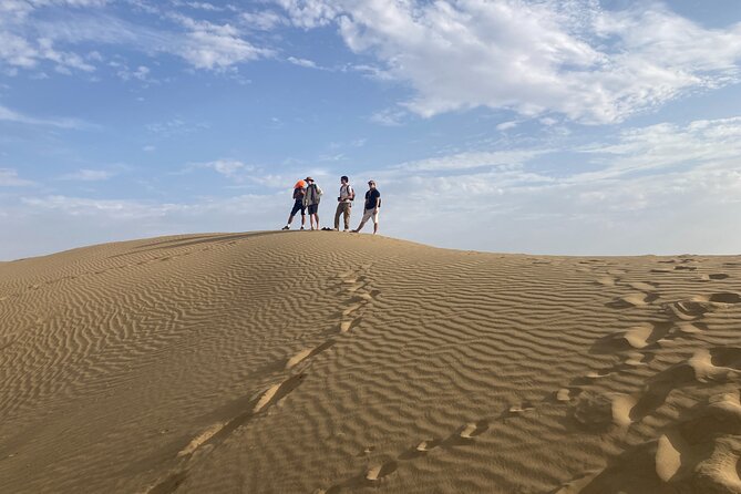 3 Days Tour in Wild Desert Safari - Guide quality and what to look for on the ground