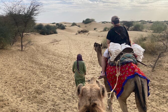 3 Days Tour in Wild Desert Safari - Group size, pace, and comfort realities