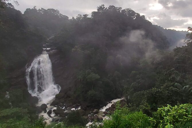 3 Nights Private Tour with Exclusive Houseboat- Sanguine Holidays - Munnar Viewpoints and Lakes: Mattupetty, Echo Point, Kundala, and Eravikulam