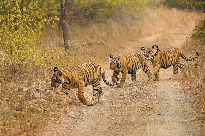 4-Day Ranthambore Tiger Safari Tour to Agra and Jaipur from Delhi - Hawa Mahal, City Palace, and Jantar Mantar: three very different ways to look at Jaipur