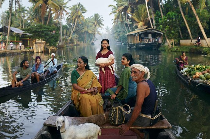 4 Days Best of Kerala Tour with Private Houseboat, Sightseeing & Car - Key highlights you should care about