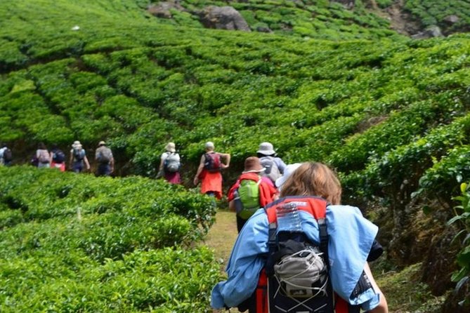 4 Days Best of Kerala Tour with Private Houseboat, Sightseeing & Car - Meals, included items, and where extra costs may pop up