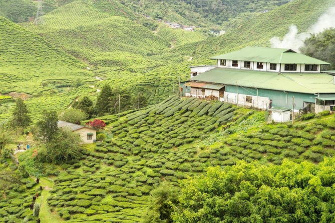 4 Days Best of Kerala Tour with Private Houseboat, Sightseeing & Car - Day 1: Kochi Airport to Munnar, plus waterfall and Tea Gardens time