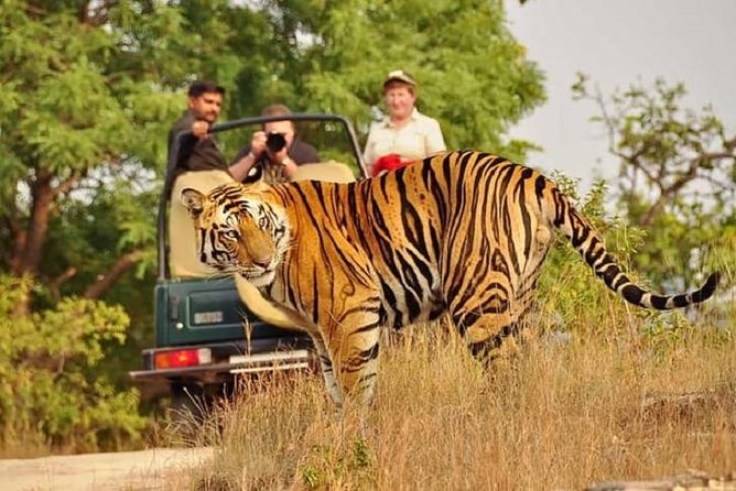 5-Day Private Delhi, Agra and Jaipur with Ranthambhore Tiger Tour From Delhi - Day 1 in Delhi: Humayun’s Tomb, Qutub Minar, and Lutyens landmarks