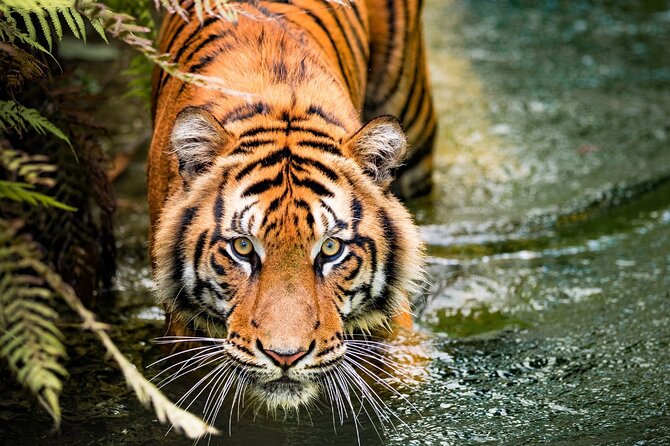 5 Days Golden Triangle with Ranthambore (Delhi Agra Jaipur Ranthambore Tour) - Day 1 in Delhi: photo stops, Humayun’s Tomb, and Qutub Minar