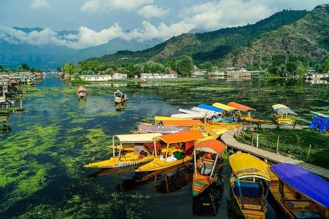 5-Days Kashmir tour includes Accommodation and Private Transportation - Mughal Gardens in Srinagar, plus a Shikara Ride You Will Remember