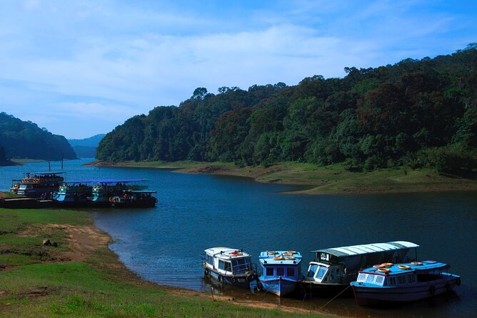 5 Days Luxury Kerala Tour with Houseboat Experience - Kerala in 5 days, built around Munnar, Thekkady, and an Alleppey houseboat