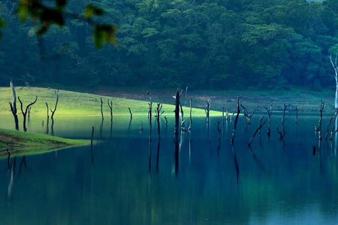 5 Days Luxury Kerala Tour with Houseboat Experience - Munnar on Day 2: Eravikulam National Park, Kannan Devan Tea Museum, and lakes worth the detour