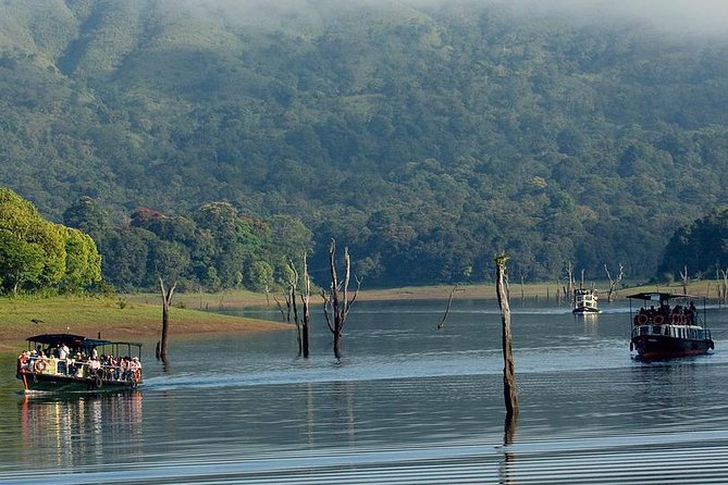 5 Days Private Kerala Tour with Houseboat by Sanguine Holidays - Why this Kochi to backwaters route fits in 5 days