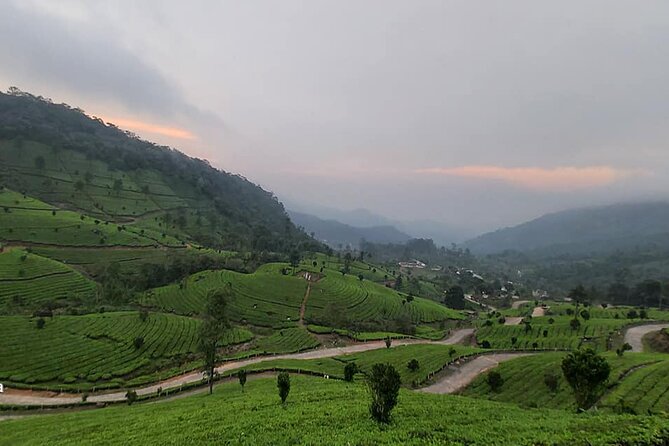 5 Days Private Kerala Tour with Houseboat by Sanguine Holidays - Day 1 water day: Cheeyappara and Valara Waterfalls