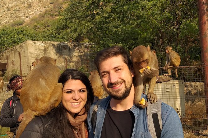 5 Nights 6 Days Private Golden Triangle Tour - Delhi Agra Jaipur - Day 1 in Delhi: Arrival, Hotel Check-In, and a Real Buffer Day