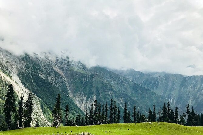 6 Days Private Tour in Kashmir Valley - Day 5 Sonmarg Thajiwas Glacier and Zoji La Pass Snow Views