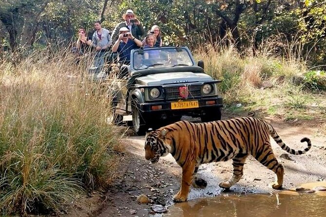 7-Day Golden Triangle Tour with Ranthambore Tiger Safari - Day 1 in Delhi: landing, meeting your guide, and getting oriented