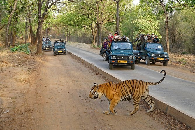 8 Day Golden Triangle Tour with Ranthambore {Taj , Tigers & More} - Agra Day: Fort Views and Mehtab Bagh Across the Yamuna