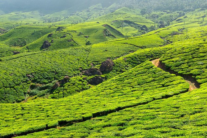 8 Days Kerala Private Tour (3 Star) with Munnar, Houseboat & Cab- Iris Holidays - Day 7, Kovalam to Kanyakumari: memorial boat trip plus sunset