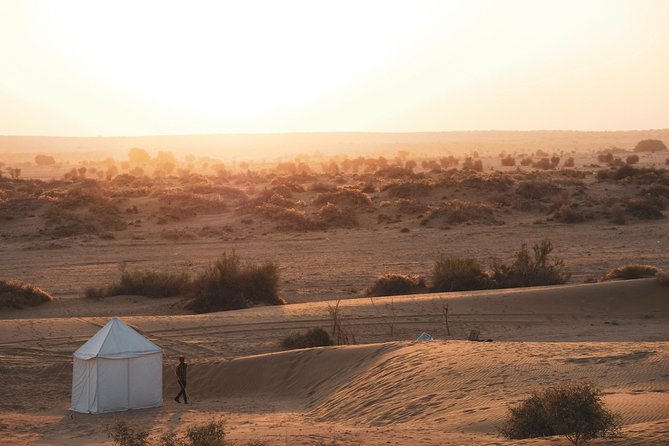 Adventure Night With Cultural Show - From village to dunes: how the camel ride stays the main event