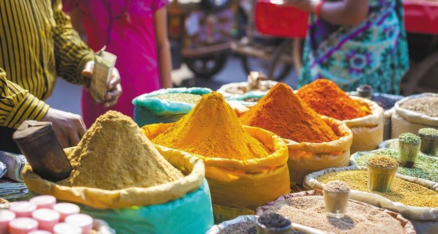 Agra: Indian Food Private Cooking Class - The core cooking skills you will learn with your host
