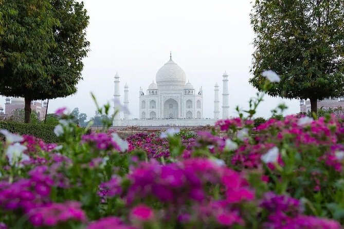 All Inclusive Same Day Taj Mahal and Agra Fort Tour from Delhi - Lunch, Bottled Water, and the Small Comforts That Keep the Day Sane