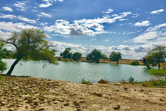 An Overnight Non-touristic Camel Safari (2PM to 11:30 AM Next Day) - Morning routine: breakfast, another camel ride, then back by 11:30 am