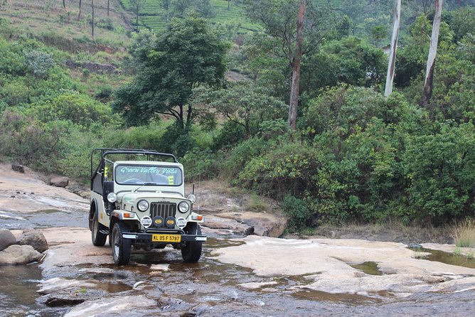 Anakulam Wild Elephant Village life tour ( By Munnar Info) - Price and value: why this feels fair for what you get