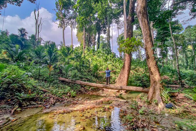 Ancient Lava Stream Trek through dense Tropical forest. - Route Breakdown: Coastal Forest, Areca Nut Plantation, Dense Jungle, Freshwater Stream