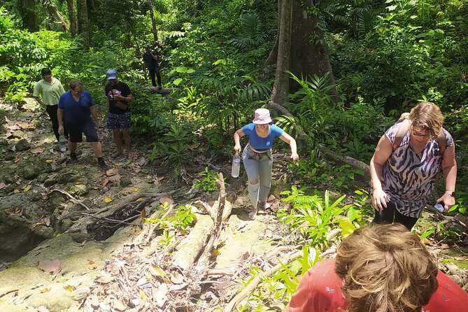 Ancient Lava Stream Trek through dense Tropical forest. - Price and Value: Why $33.56 Can Be a Great Deal Here