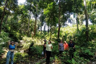 Ancient Lava Stream Trek through dense Tropical forest.