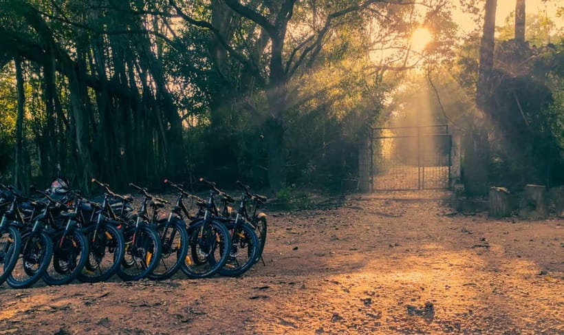 Auroville: Nature Trail Forest Cycling Adventure - Price and Value: Is $14 for 3 Hours Actually Fair?