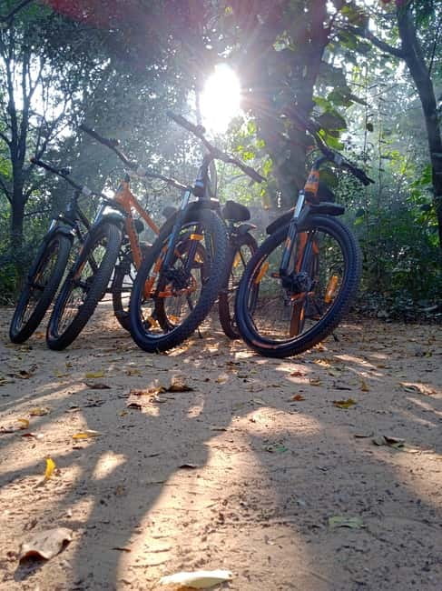 Auroville: Nature Trail Forest Cycling Adventure - Meeting at the Small Blue Shed Near Sri Chakra Maritime College