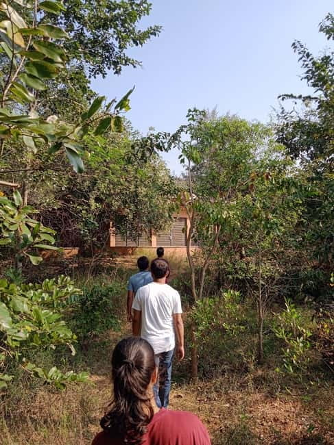 Auroville: Nature Trail Forest Cycling Adventure - First Bike Leg on Poothurai Road: Shade, Senses, and Real Trail Feel