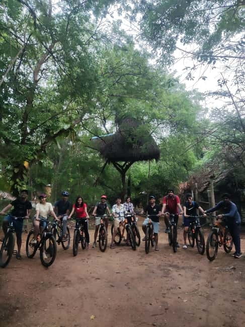 Auroville: Nature Trail Forest Cycling Adventure - The 1.5-Hour Hike: Where Birds, Plants, and Small Surprises Take Over