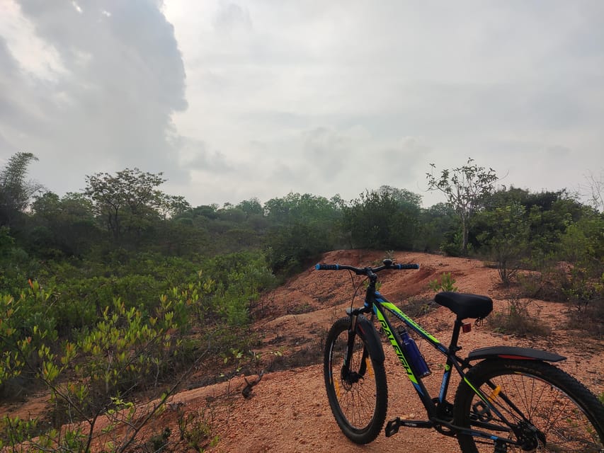 Auroville: Nature Trail Forest Cycling Adventure - Why Sharan’s Storytelling Changes the Whole Experience
