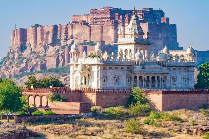 Authentic Jodhpur Day Tour - How the day tour is paced, with a real lunch break built in