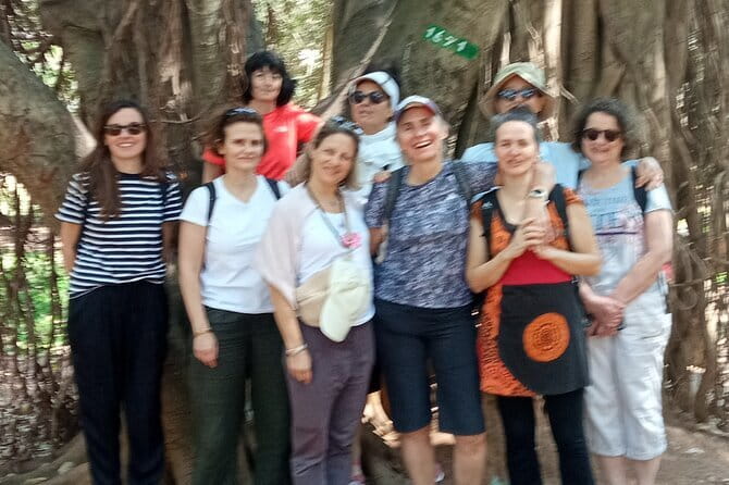 Bangalore : Evening Food Street Walk and Market Visit - The Short Metro Ride to VV Puram: Local Transit as Part of the Tour