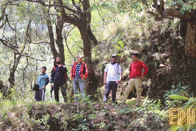 Benog Tibba Day Hike - Mussoorie - Wildlife spotting: what’s realistic, and how to increase your odds