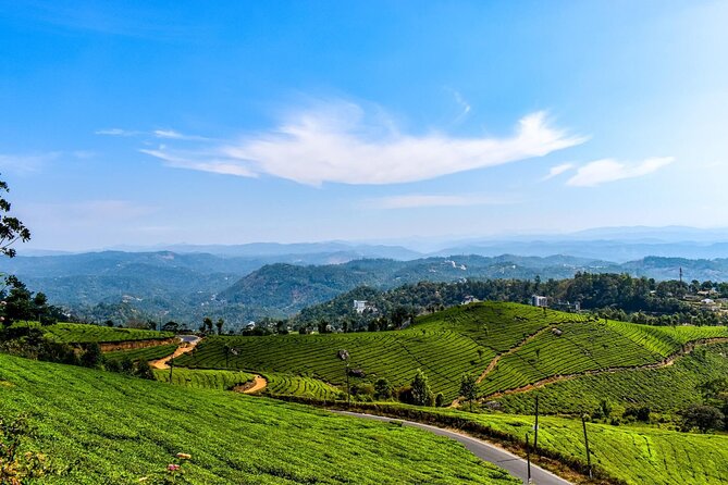 Best of Kerala Tour (Exclusive Private tour) - Why this Kerala route feels easy, from Kochi to Kovalam