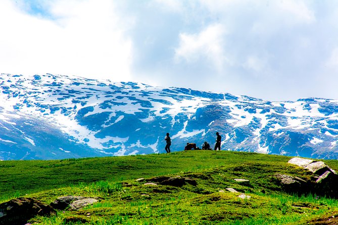 Bhrigu Lake and Alpine Meadow Trek - The Trail Experience: Forest Steps, Meadow Views, and a Lake That Feels Earned