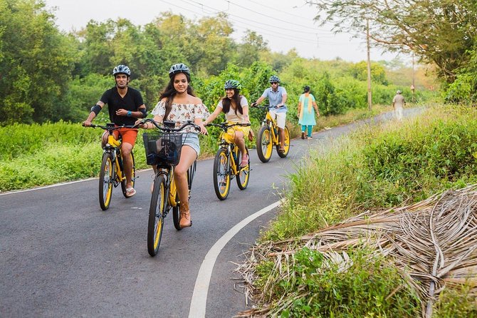 BLive Electric Bike Tours - Discovery of Divar Island - Divar Island by Electric Bike: Why This Style Works