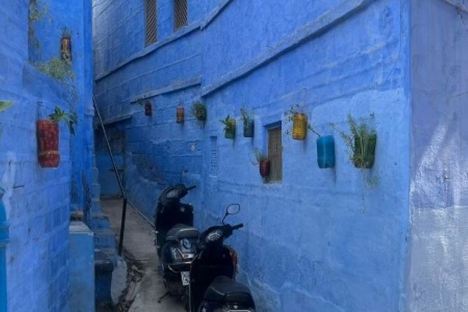 Blue city heritage walk - Toorji Ka Jhalra: your meeting point in the oldest kind of cool