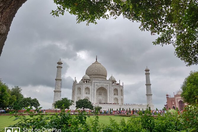 Book Govt Approved Guide for Taj Mahal & Agra fort - Start times and transportation choices that fit your schedule