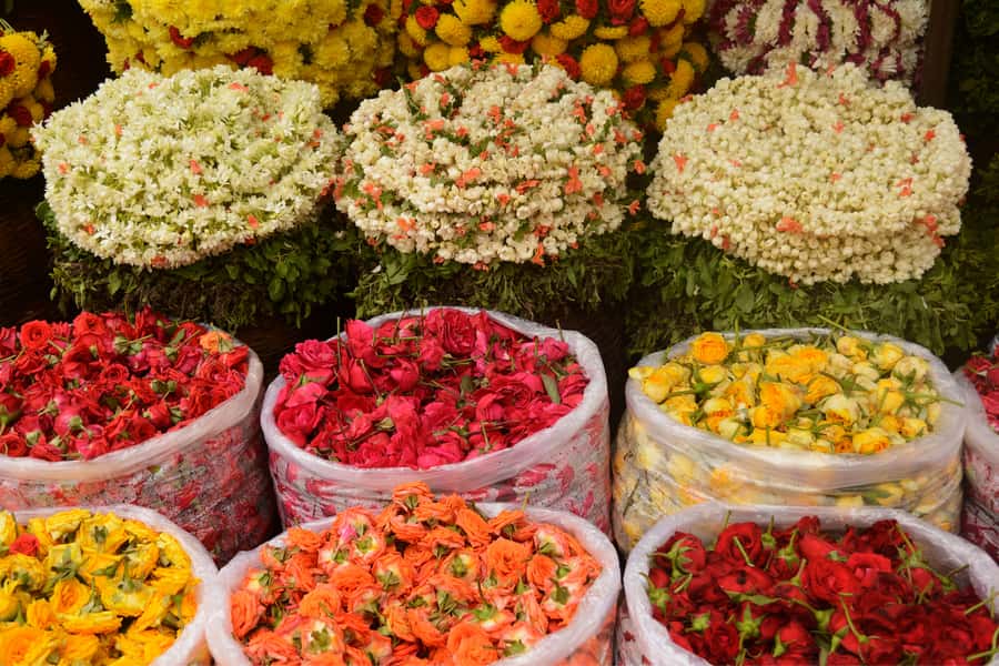 Build Your Own: Customizable Private Tour of Kolkata - Designing Your Own 8-Hour Kolkata Day (Without Wasting Time)