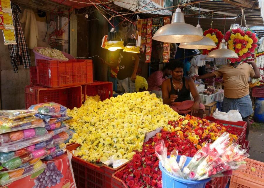 Chennai: Magical Markets Guided Walking Tour - Entering Chennai’s Market Life, Starting at King George V