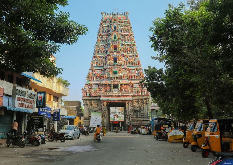 Chennai: Magical Markets Guided Walking Tour - Spice Market, Your Nose Becomes the Guide